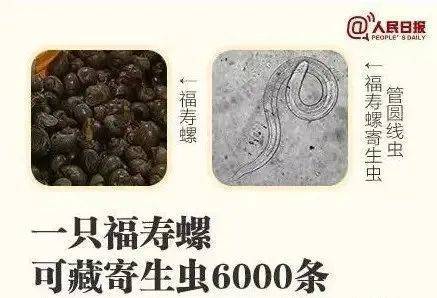 别吃！寄生虫多达6000条！浙江一地大量出现<strong></p>
<p>okb发行价</strong>，看到立刻上报