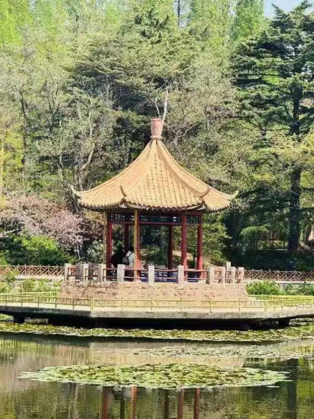 青岛中山公园一凉亭突然倒塌：一年前刚完成修缮<strong></p>
<p>okb大跌</strong>，园方称无伤亡原因待查