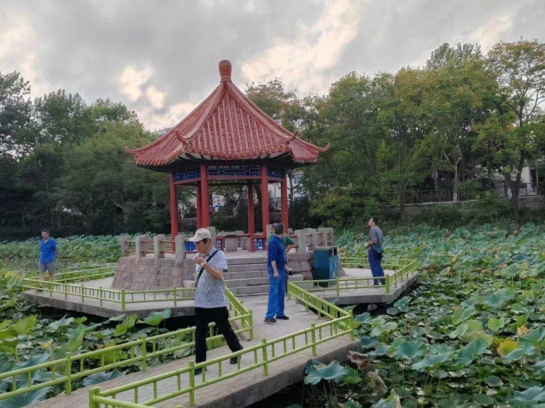 青岛中山公园一凉亭突然倒塌：一年前刚完成修缮<strong></p>
<p>okb大跌</strong>，园方称无伤亡原因待查
