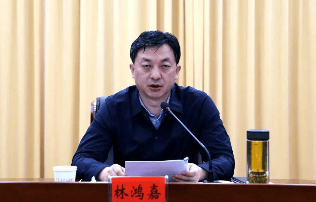 鹤壁市常务副市长林鸿嘉<strong></p>
<p>okx</strong>，被罢免市人大代表职务