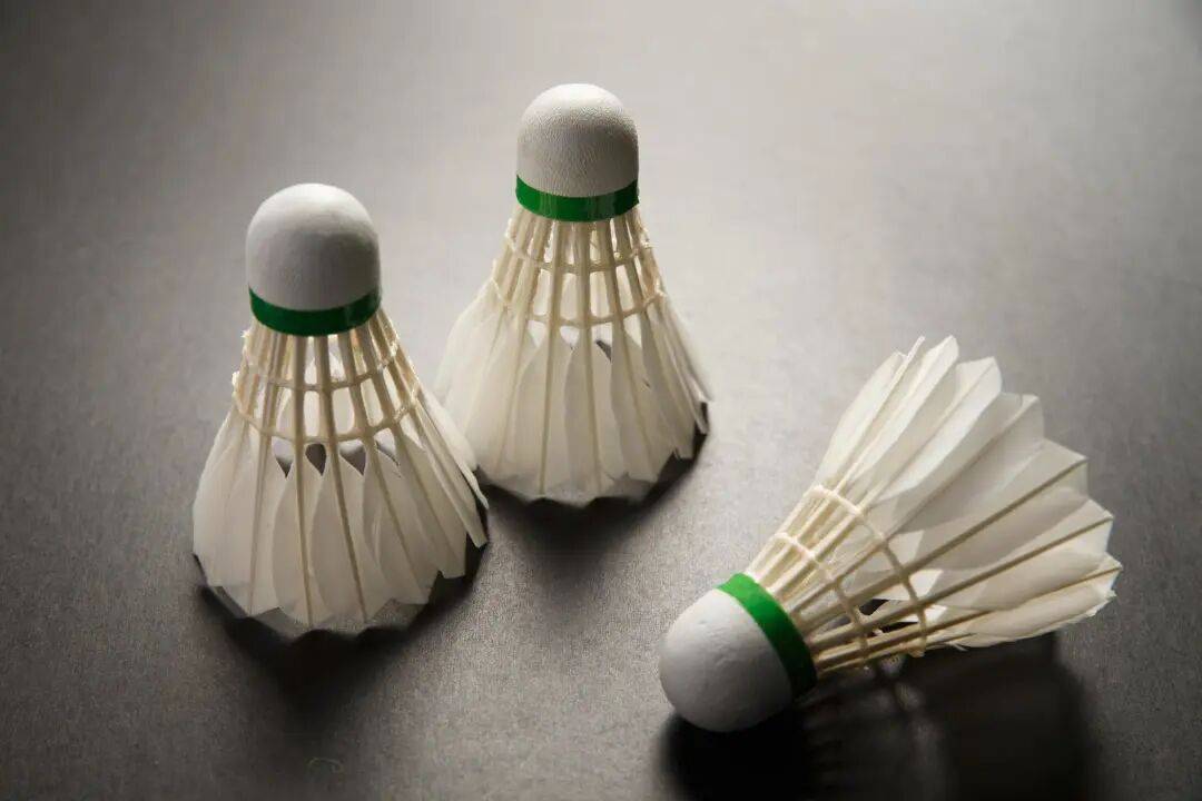 又双叒叕涨价了<strong></p>
<p>shib</strong>！网友苦笑：买不起了……