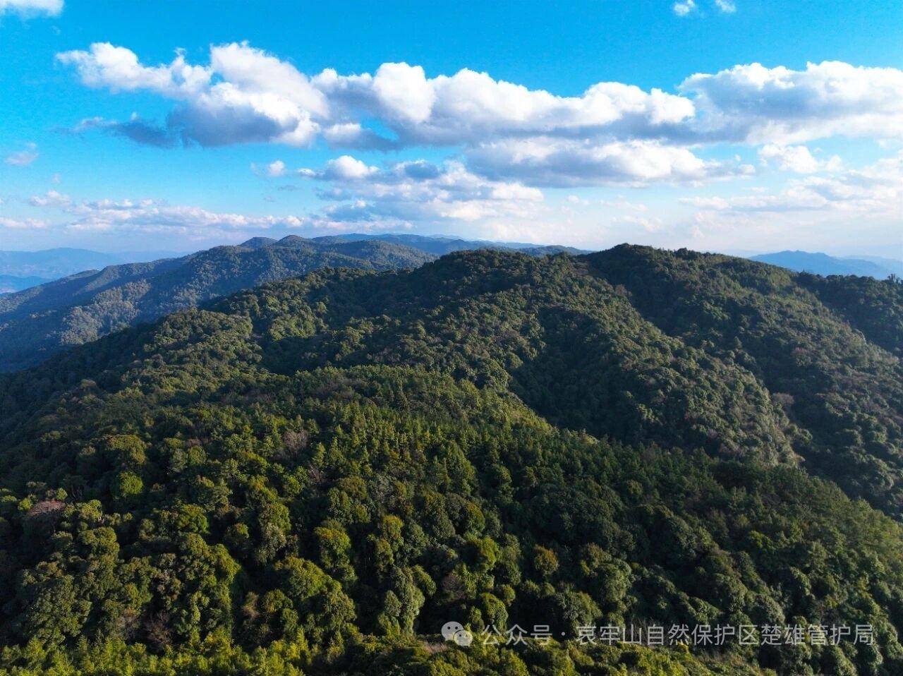 云南哀牢山新规出台：禁止任何单位和个人擅入哀牢山自然保护区<strong></p>
<p>shib</strong>，从事科研活动须报批
