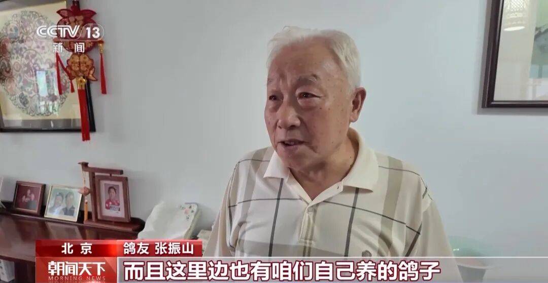 明天将放飞8万羽和平鸽、8万只气球<strong></p>
<p>shib</strong>，揭秘！