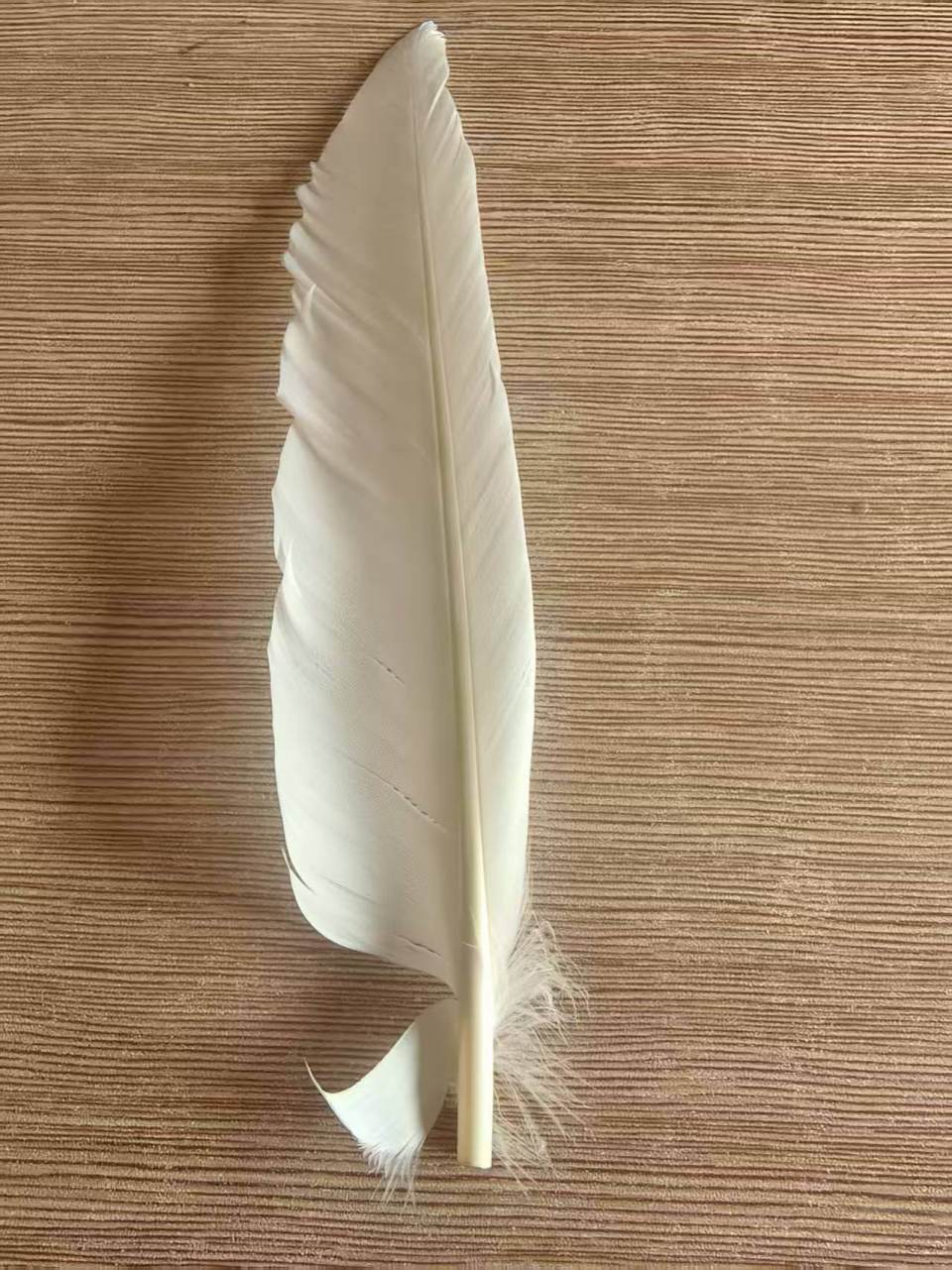 羽毛球又又又涨价<strong></p>
<p>shib</strong>，球友破防：月花三千扛不住，打球人的天塌了