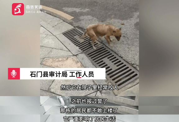 保安称“经常咬人”打死流浪犬<strong></p>
<p>shib币最新消息</strong>，居民上门讨说法：这个门卫穷凶极恶