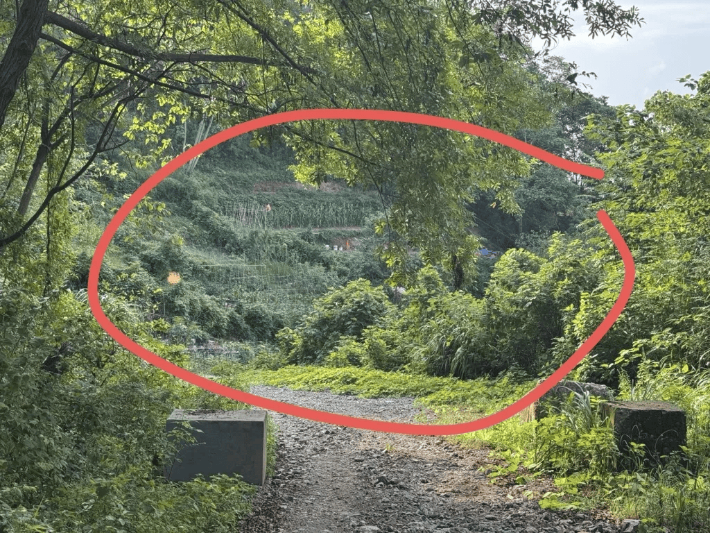 杭州女子误踩“化骨水”身亡<strong></p>
<p>shib币价格</strong>，当地：已锁定化学品所有者，发现三桶，一桶完整，两桶残余