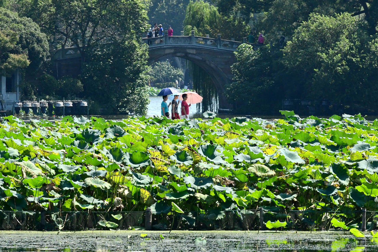 “三台共舞”对浙江有何影响？周末又有冷空气<strong></p>
<p>shib价格</strong>，气温舒适