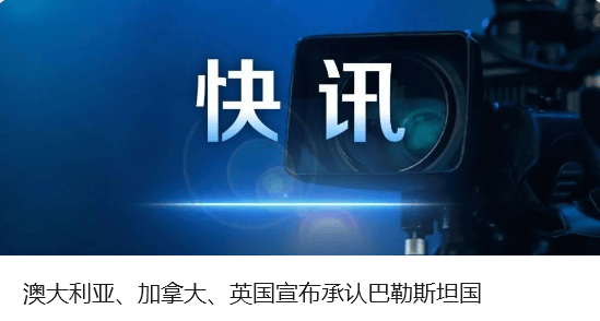 中方奉劝以色列议员：如不悬崖勒马<strong></p>
<p>shib</strong>，必将摔得粉身碎骨