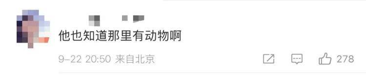 “感谢大家支持我大闹天宫……”蔡国强烟花秀现场感言视频披露<strong></p>
<p>shib币前景</strong>，又遭质疑！