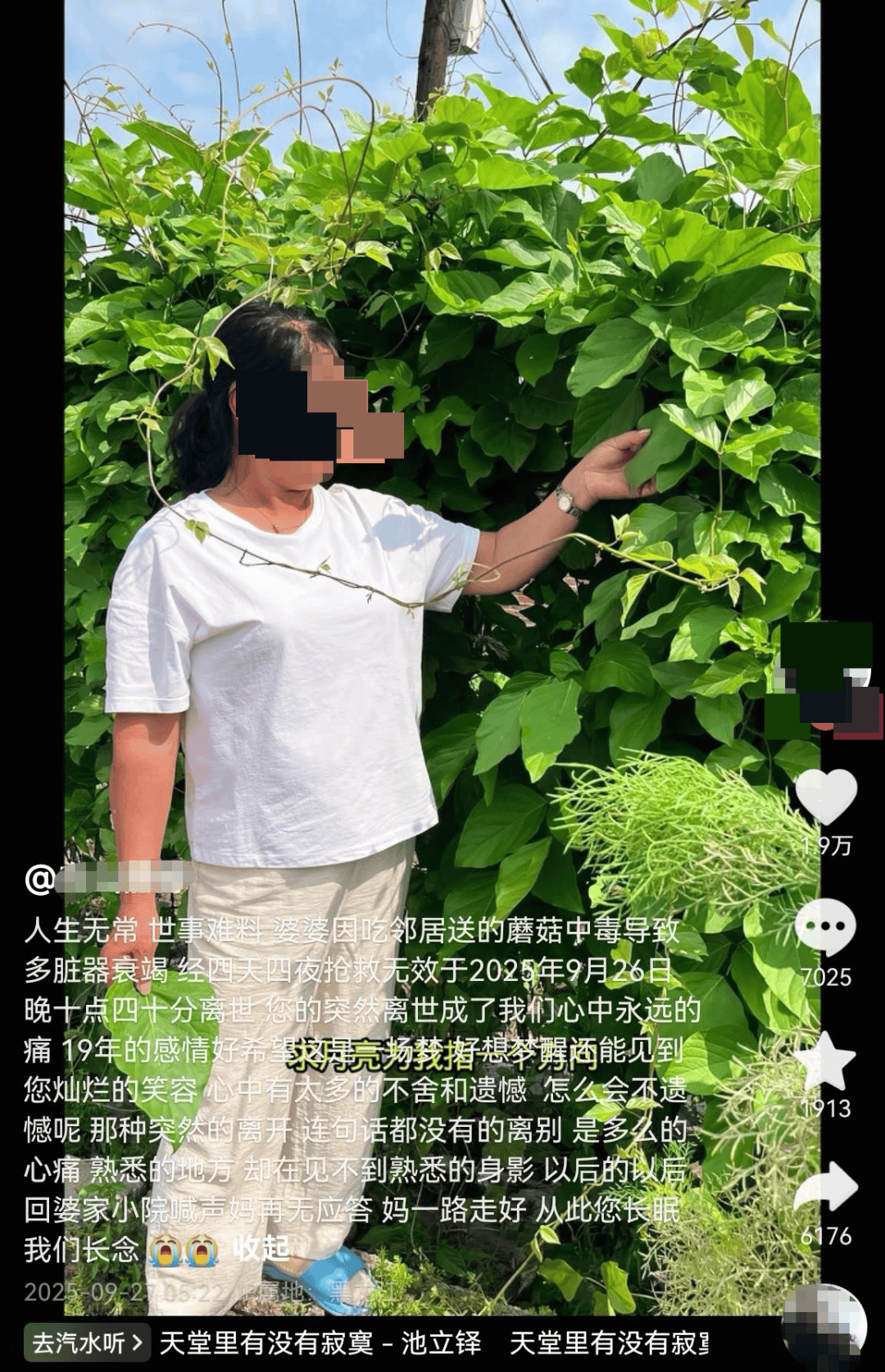 网红发文悼念婆婆：吃了邻居送的蘑菇中毒<strong></p>
<p>tp钱包安卓版下载</strong>，抢救四天四夜死亡！这些蘑菇避毒原则可能是陷阱→