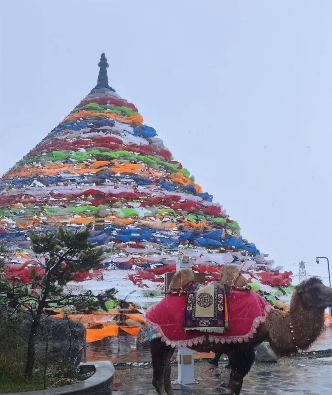 多地突降大雪<strong></p>
<p>tp钱包下载</strong>!