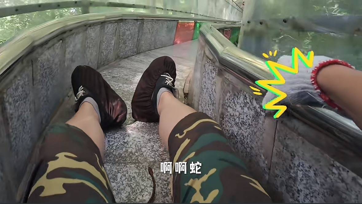 游客称在广西丹炉山滑道遇蛇<strong></p>
<p>tp钱包最新版本下载</strong>,景区致歉:这么多年就这一次,每年都做防蛇处理
