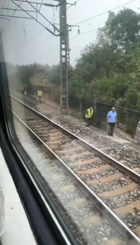 湖北一列车撞上野猪致停运<strong></p>
<p>tp钱包是正规平台吗</strong>，铁路局：野猪已无害化处理，列车正常运行；附近曾发生多起野猪伤人事件