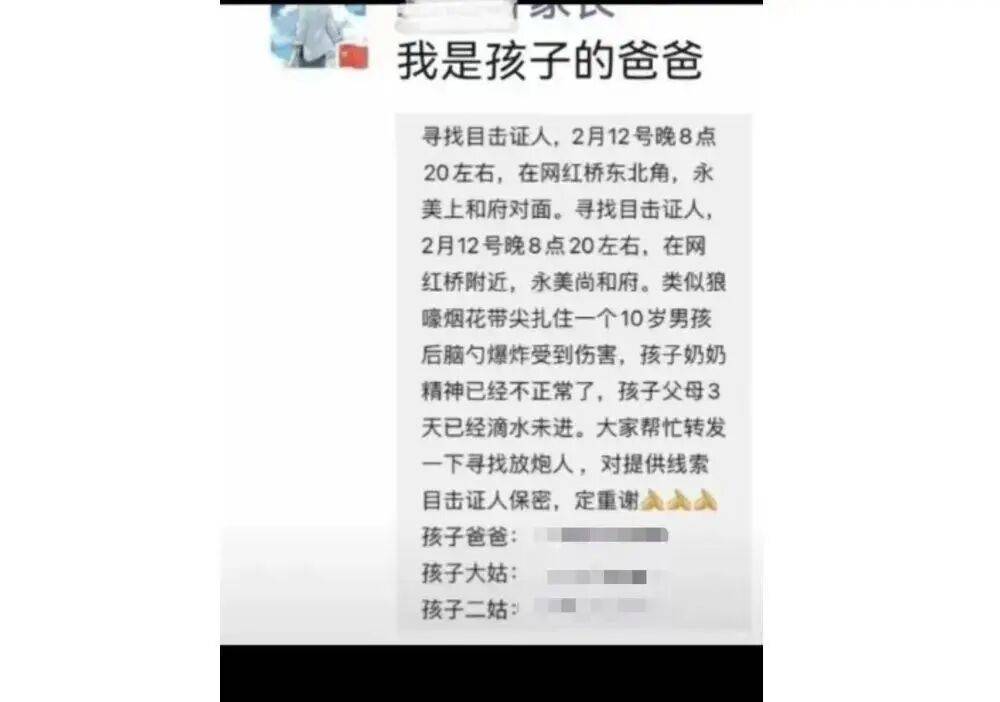 10岁男孩被烟花击中头部身亡<strong></p>
<p>tp钱包官方网站</strong>,14岁嫌疑人被告上法庭,最新进展→