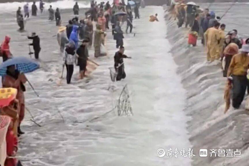 “鱼多得数不过来<strong></p>
<p>tp钱包怎么下载</strong>,一网子下去能捞好几条”济南锦绣川水库开闸放水,大量鲢鱼被冲出,工作人员:禁止捕捞!