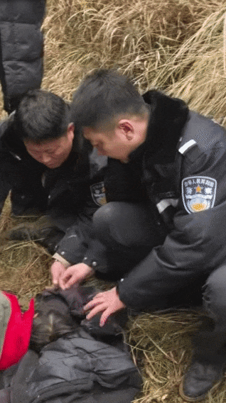 辽宁4岁女童称睡醒后自行下车<strong></p>
<p>tp钱包安全吗</strong>,迷路后睡在草地,期间无人接触;其母发声