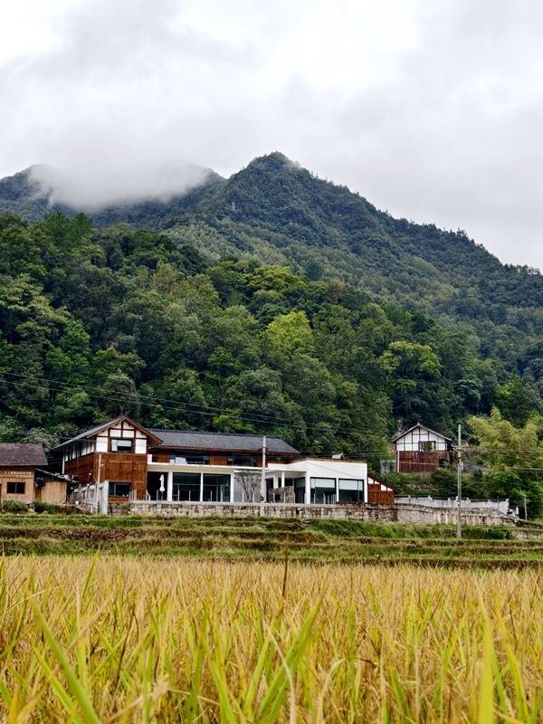 推窗见梯田<strong></p>
<p>tp钱包app下载安装</strong>！梧桐山民宿：把日子过成诗