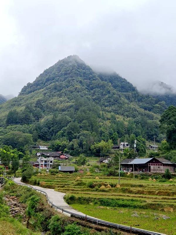 推窗见梯田<strong></p>
<p>tp钱包app下载安装</strong>！梧桐山民宿：把日子过成诗