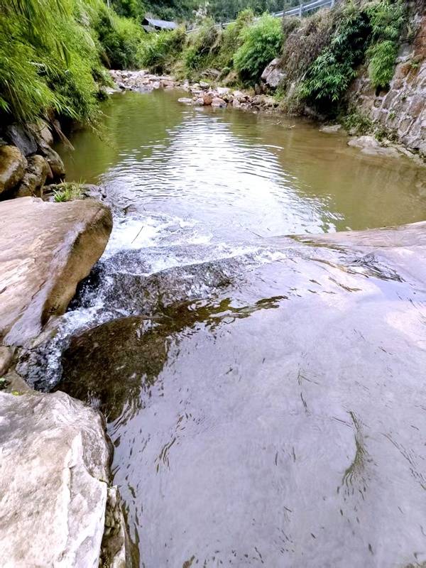 推窗见梯田<strong></p>
<p>tp钱包app下载安装</strong>！梧桐山民宿：把日子过成诗