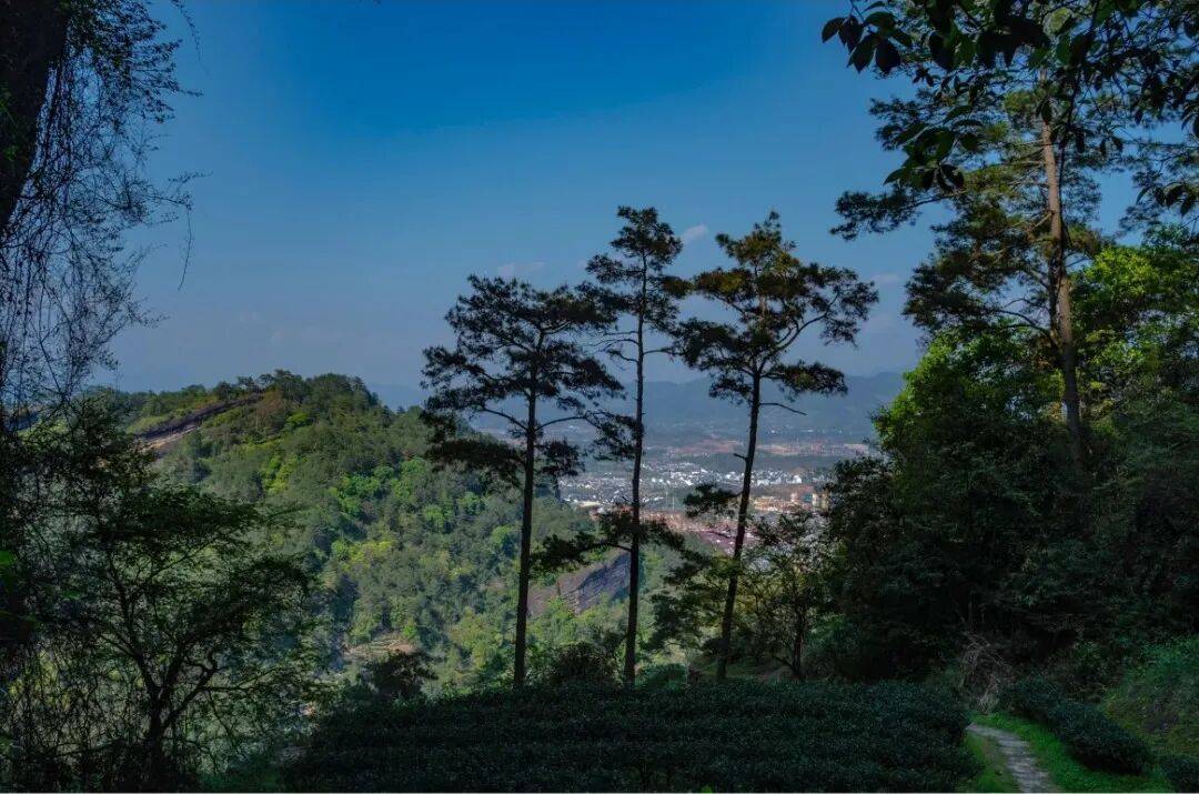 为什么年轻人迷上了爬山？ | 秋高气爽<strong></p>
<p>tp钱包app下载安装</strong>，是时候出发了→