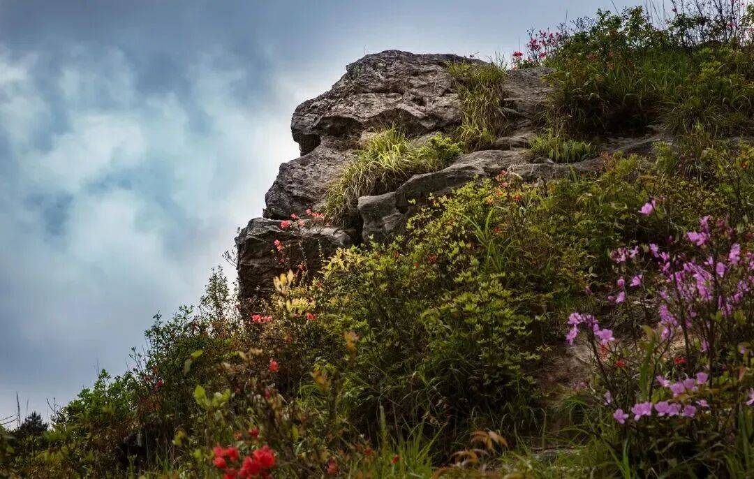 为什么年轻人迷上了爬山？ | 秋高气爽<strong></p>
<p>tp钱包app下载安装</strong>，是时候出发了→