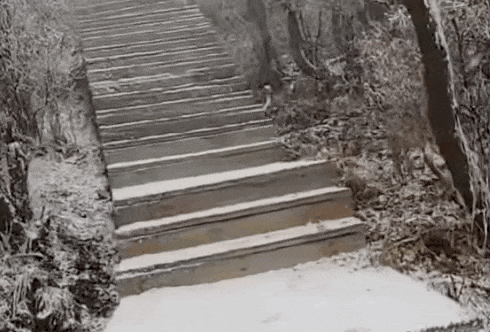 石家庄下雪了<strong></p>
<p>tp钱包官网下载</strong>!河北雨雪上线!新一股冷空气在路上……