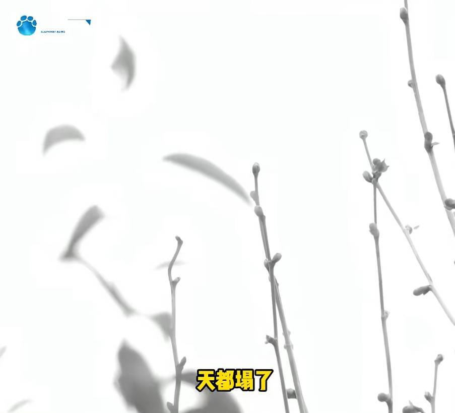“天塌了<strong></p>
<p>trx app最新版本</strong>,我一生都毁了”,男子称养了20年才发现儿子非亲生!前妻坚决否认