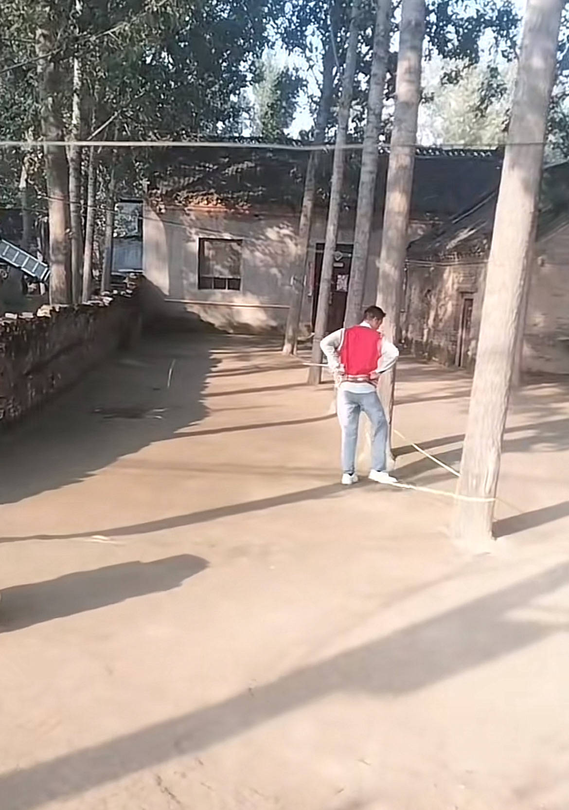 河南一大爷的院子因干净成网红打卡地<strong></p>
<p>trx</strong>，网友：像极了小时候家的样子，想拖鞋光脚丫子走