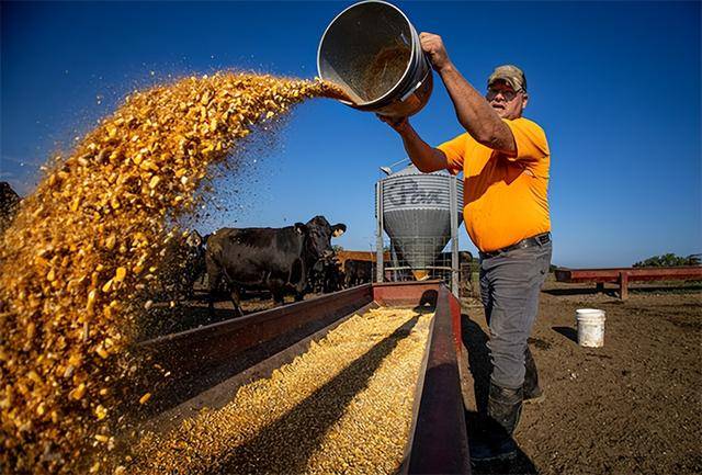 又输给了李成钢<strong></p>
<p>trx价格</strong>，贝森特承诺：美方不再考虑对华加征100%关税