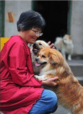 合肥卖房救助流浪狗的魏阿姨离世<strong></p>
<p>usdt钱包官方下载</strong>，病中仍然惦记着基地的600只流浪狗，工人：不敢相信世上还有这样执着的人