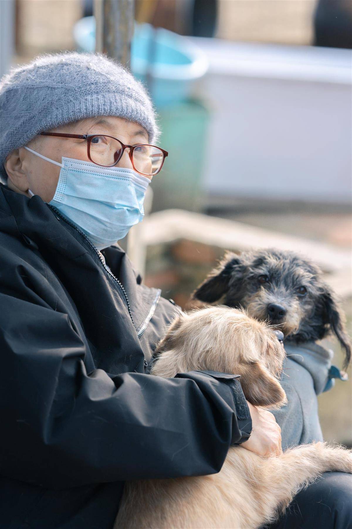 合肥卖房救助流浪狗的魏阿姨离世<strong></p>
<p>usdt钱包官方下载</strong>，病中仍然惦记着基地的600只流浪狗，工人：不敢相信世上还有这样执着的人