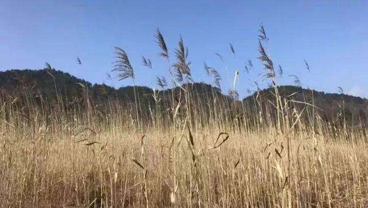 禁止任何形式穿越<strong></p>
<p>usdt交易平台</strong>！杭州一地发布最严禁令