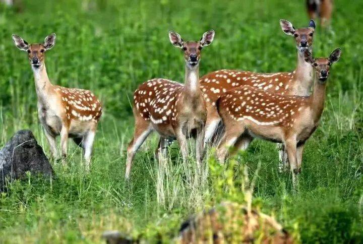 禁止任何形式穿越<strong></p>
<p>usdt交易平台</strong>！杭州一地发布最严禁令