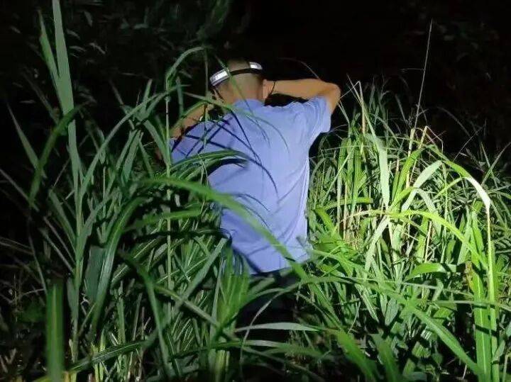 禁止任何形式穿越<strong></p>
<p>usdt交易平台</strong>！杭州一地发布最严禁令