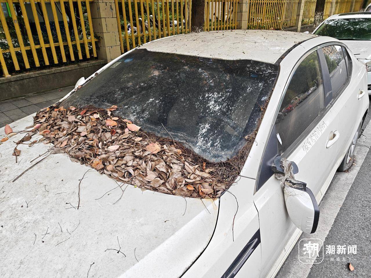 近三成疑似“僵尸车”<strong></p>
<p>usdt价格usdt什么意思</strong>,杭州这里的路边免费车位缘何成“停车场”