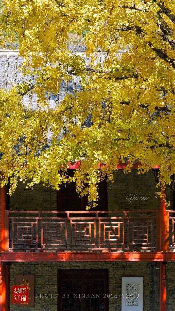 未来三天全省晴,气温缓慢回升<strong></p>
<p>usdt官网</strong>。明晨淮河以南部分地区有雾或浓雾