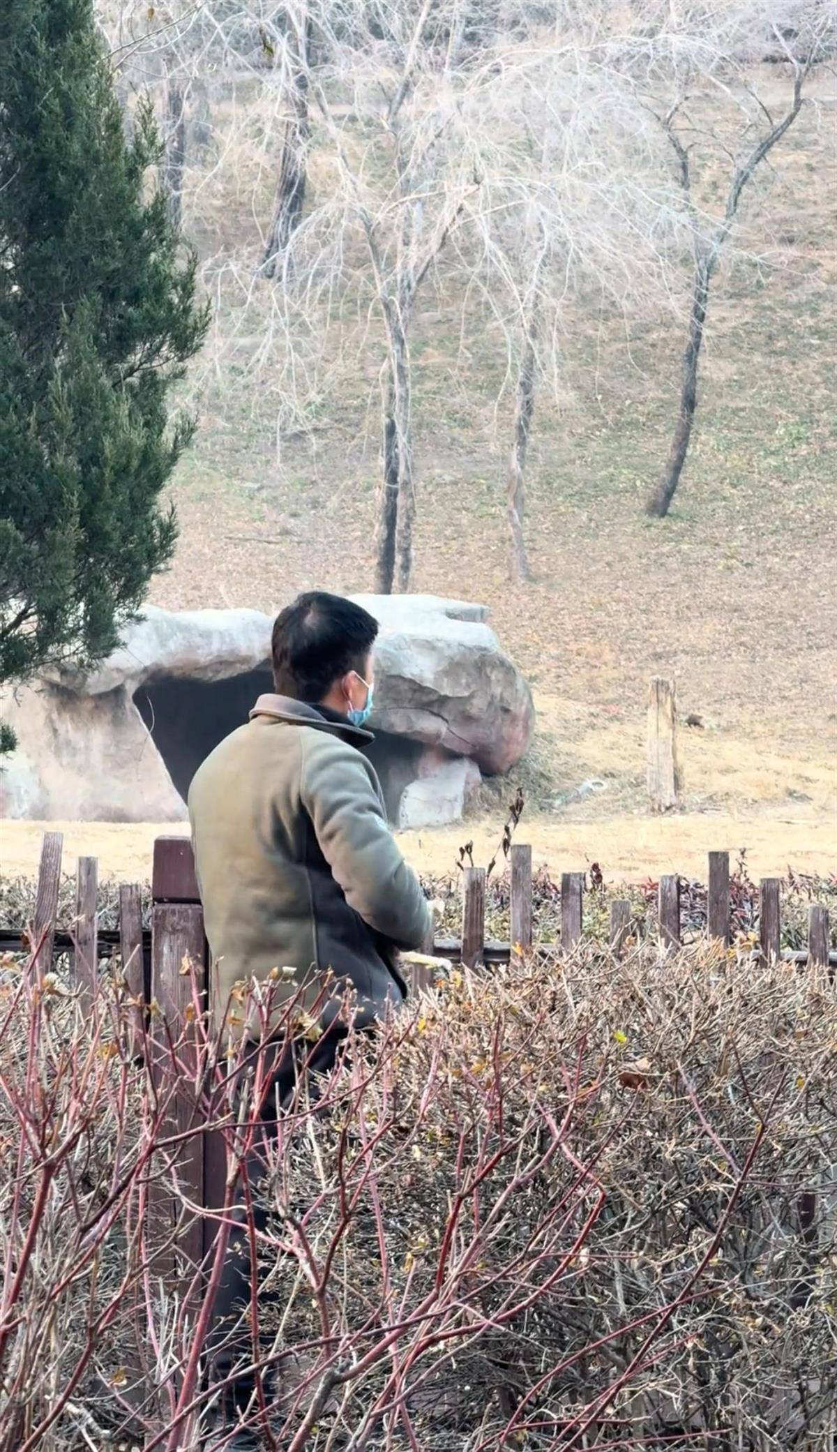 沈阳一男子动物园内用弹弓射老虎<strong></p>
<p>usdt浏览器</strong>,目击者称其“填装了弹丸”,打完后老虎爬起来了,园方:正在核实情况