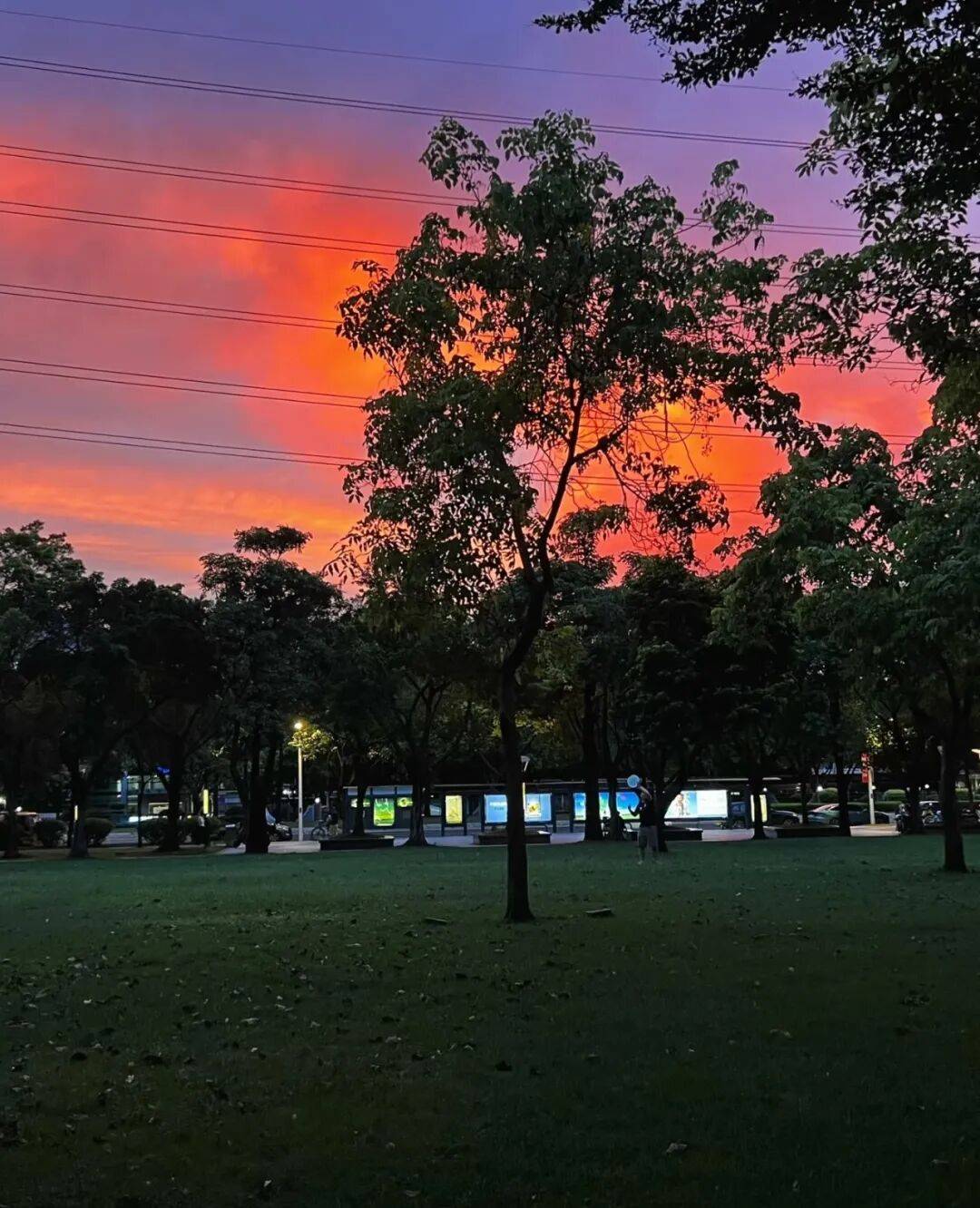 第一批丁克老后<strong></p>
<p>usdt浏览器</strong>，“伴侣能陪一程，但最后都要靠自己”