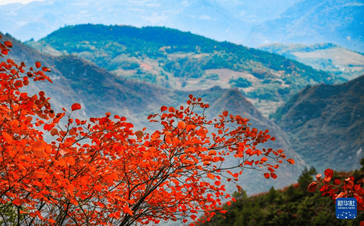重庆巫山:初冬美景引客来