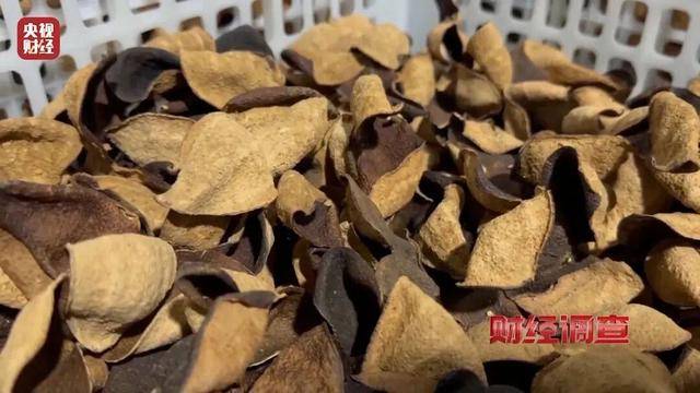 30天速成陈皮<strong></p>
<p>比特儿下载</strong>,成本仅70元,利润超成本10倍以上!央视起底陈皮跨省造假产业链