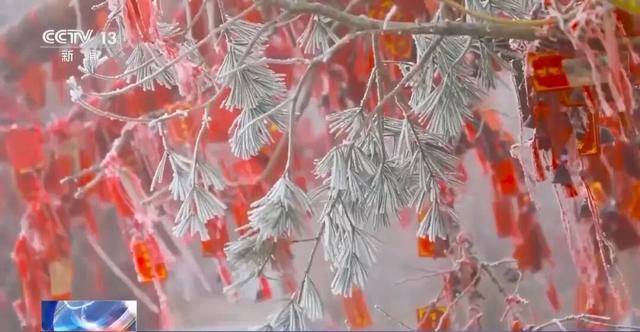 我国已经进入拉尼娜状态<strong></p>
<p>比特儿下载</strong>,专家:可能出现冬春连旱