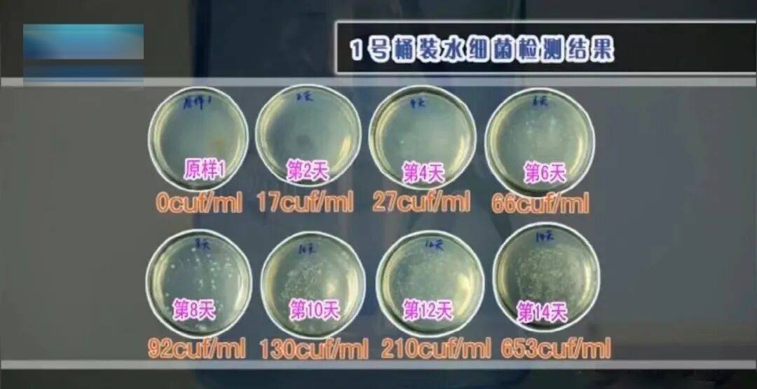 6种东西<strong></p>
<p>比特儿下载</strong>,没过保质期就“坏了”?赶紧看看,别拿全家健康开玩笑