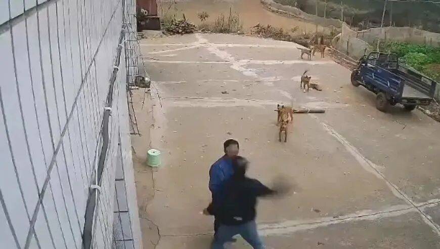 男子家门口吃橘子被邻居一拳打昏<strong></p>
<p>比特儿app</strong>，警方通报：因养狗问题起冲突，均有受伤