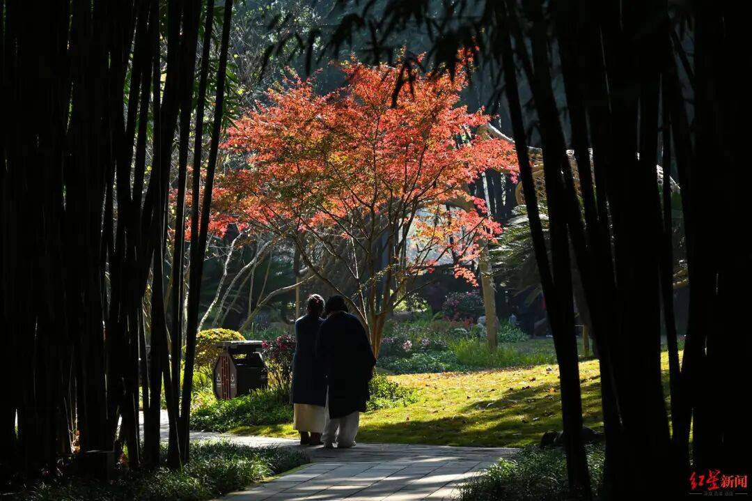 我国已进入拉尼娜状态<strong></p>
<p>比特儿海外</strong>!四川今冬或“前暖后冷”