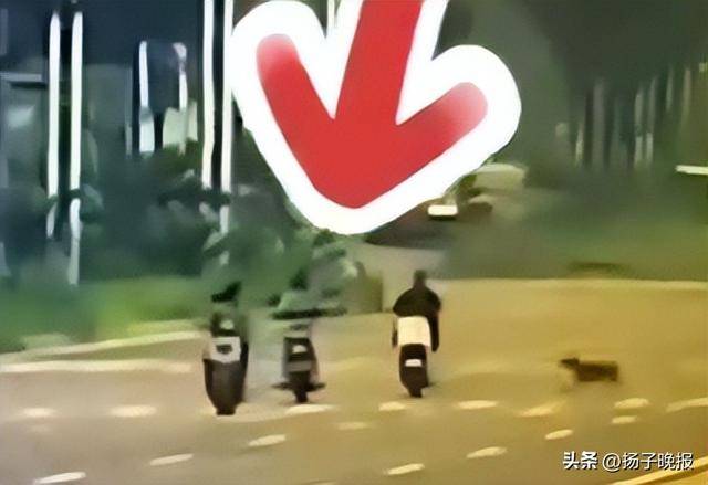 女子骑行被未拴绳大狗撞倒身亡,5个月后丈夫突发脑溢血进ICU,家中还有3个孩子两个老人