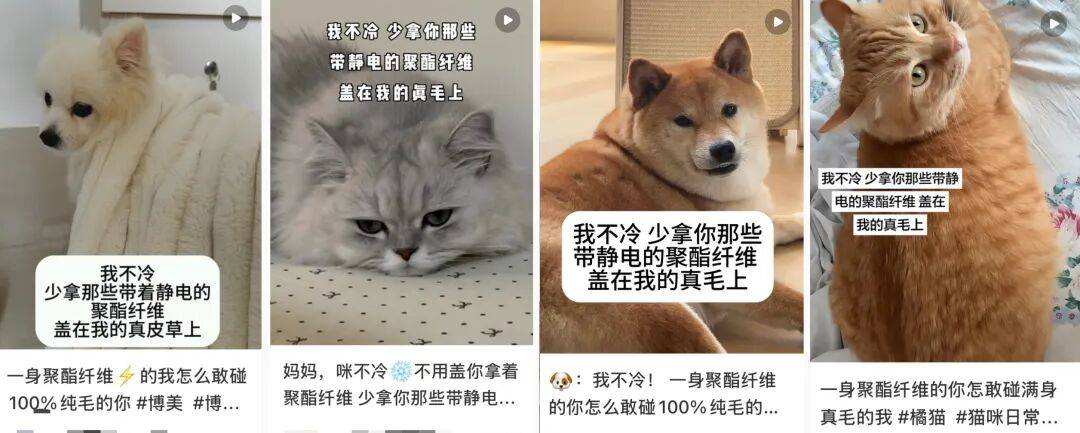 “聚酯纤维衣服是旧塑料瓶做的”<strong></p>
<p>比特儿交易平台</strong>,这今冬最歹毒造谣看得人生气