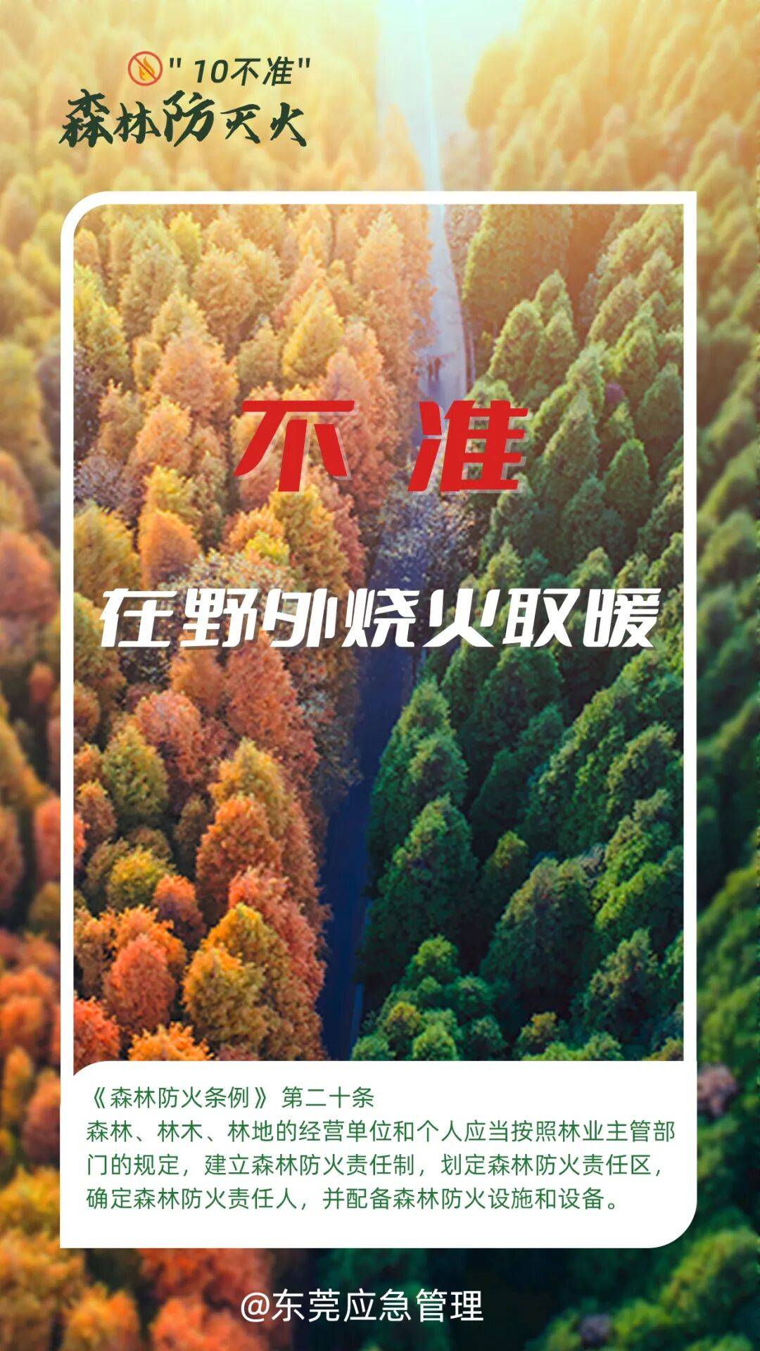 深圳坪山区突发山火<strong></p>
<p>比特儿网站</strong>，最新通报：明火已扑灭，无人员伤亡