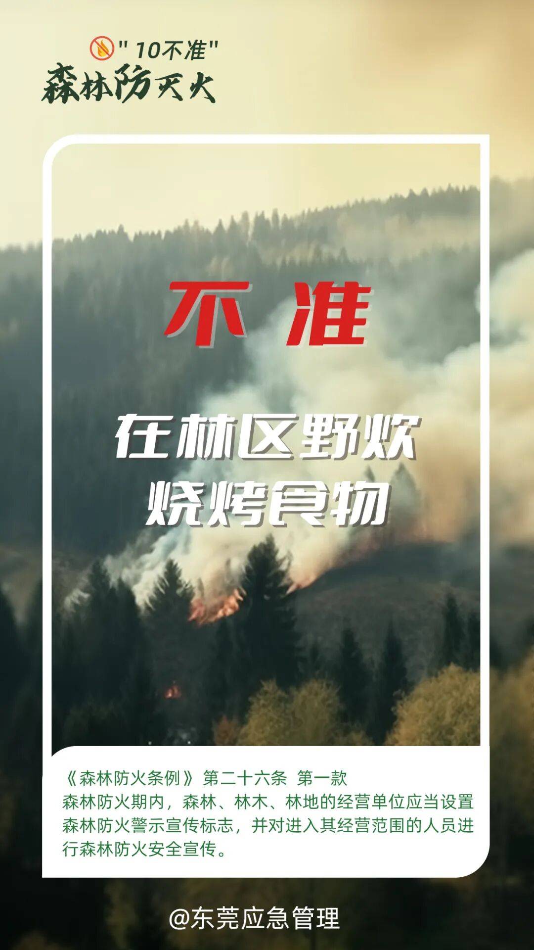 深圳坪山区突发山火<strong></p>
<p>比特儿网站</strong>，最新通报：明火已扑灭，无人员伤亡