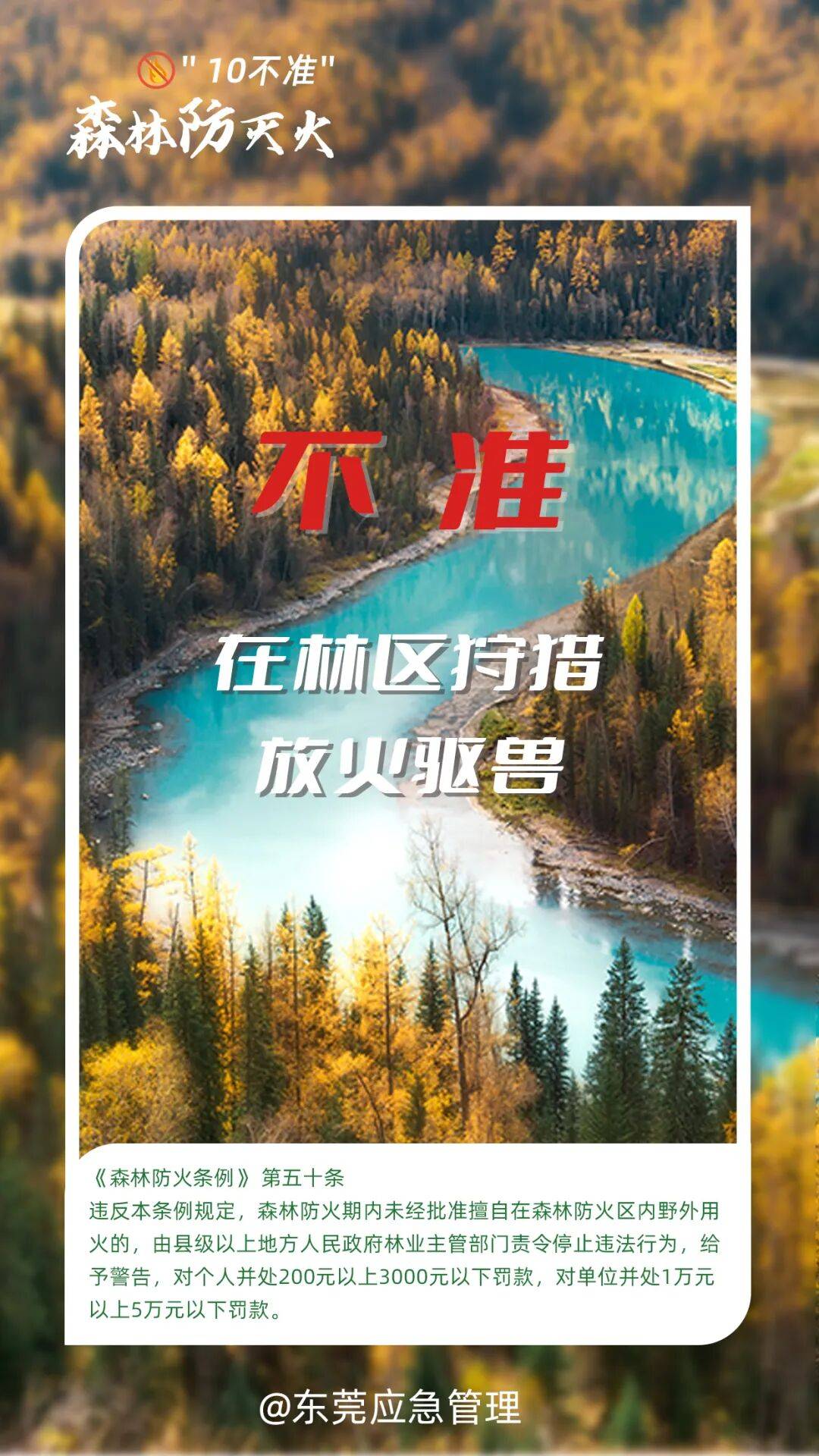 深圳坪山区突发山火<strong></p>
<p>比特儿网站</strong>，最新通报：明火已扑灭，无人员伤亡