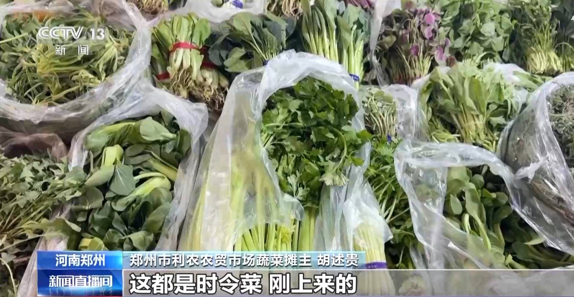 蒸、煎、拌、酿……一口鲜菜如何“锁”住春天<strong></p>
<p>比特儿是假平台吗</strong>?